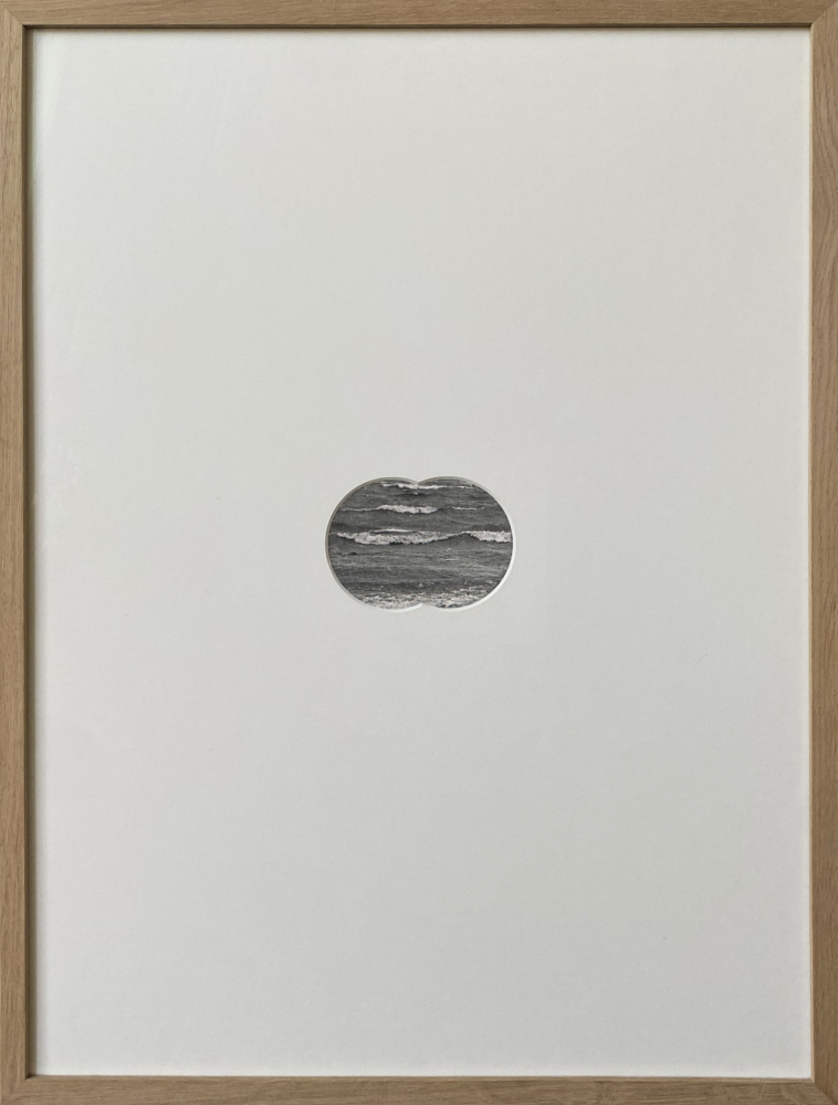 sleep, my carnation. sleep, my rose. II45&amp;#160;x 65 cmgraphite / paper2024
