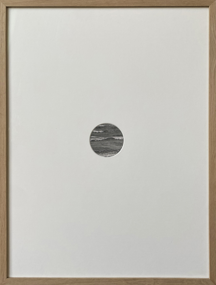 sleep, my carnation. sleep, my rose. III45&amp;#160;x 65 cmgraphite / paper2024